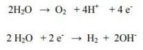 potencial redox