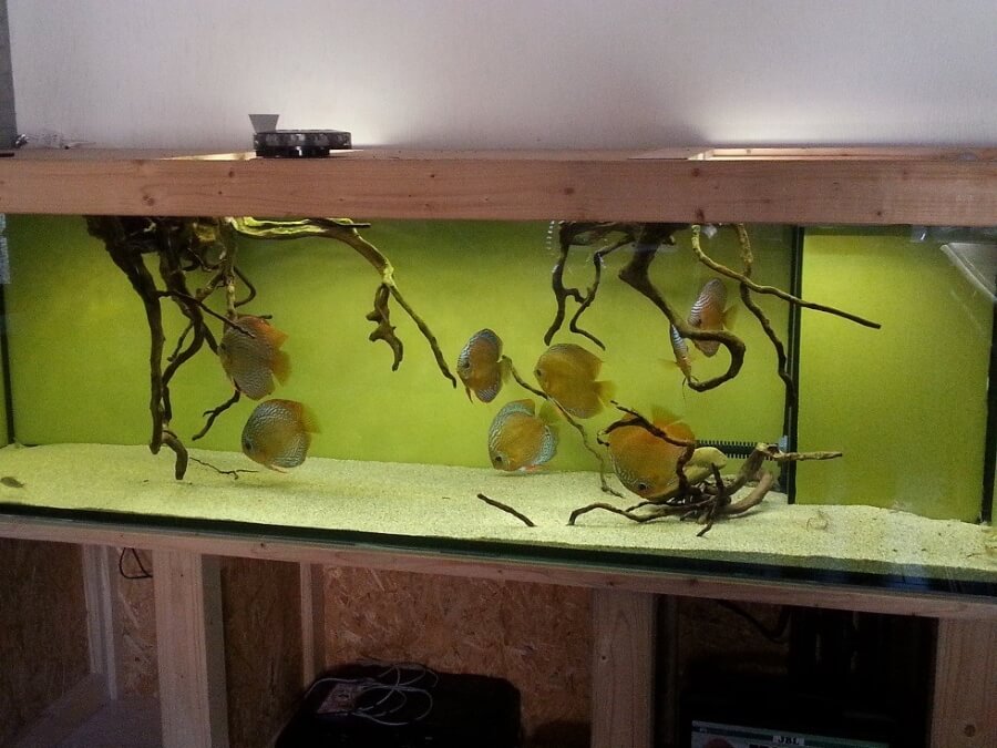 ejemplo de filtración