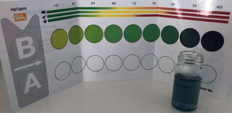 eliminar las cianobacterias-test silicato