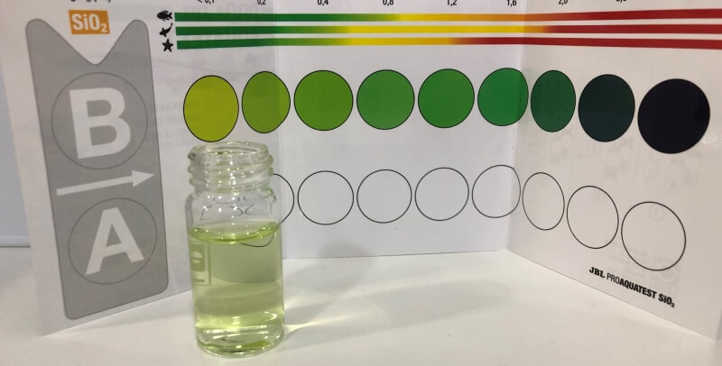 eliminar las cianobacterias-test SiO2