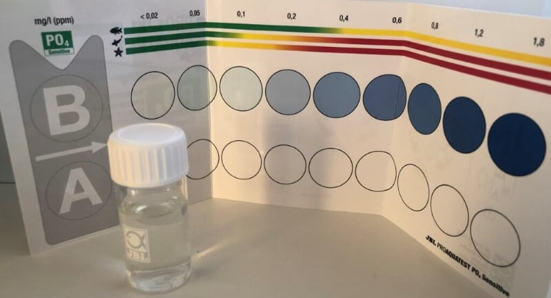 eliminar las cianobacterias-test PO4