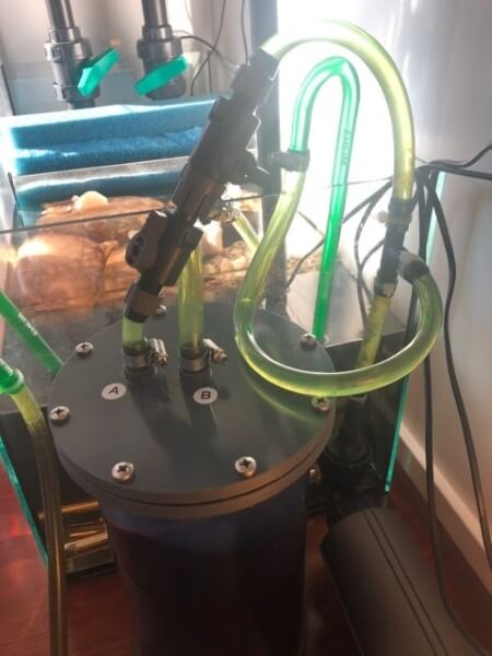 filtro sump usado en un acuario con TAA biológico