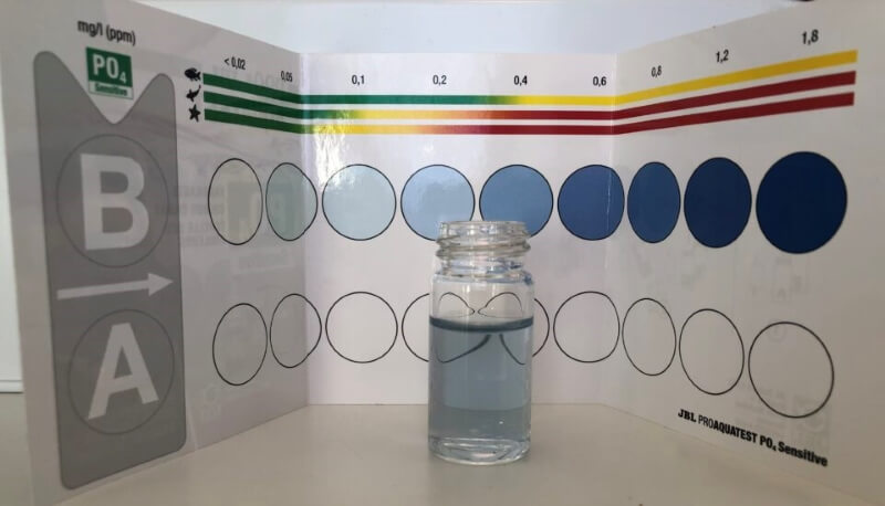 eliminar las cianobacterias-test fosfato