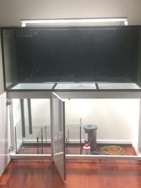 instalación de acuario con tratamiento activo de agua biológico