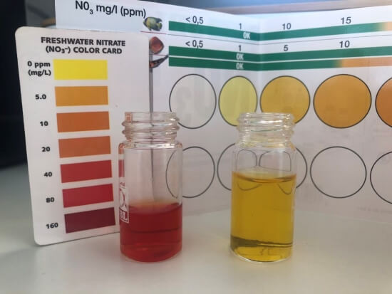 resultados de test de nitrato
