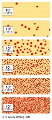 colonias como medición de patógenos